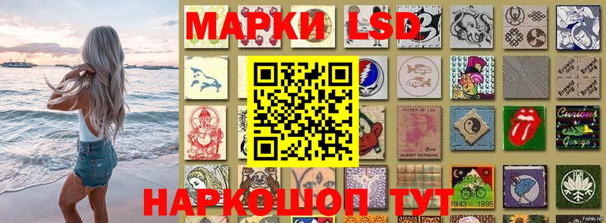 Прохладный  Марки N-bome 1500мкг  Марки N-bome  Марки N-bome 1500мкг  Вход с VPN 
