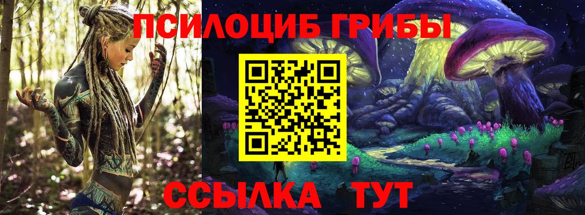 Псилоцибиновые грибы MAGIC MUSHROOMS  Вход с VPN  Прохладный  купить закладку  Псилоцибиновые грибы Psilocybine cubensis 