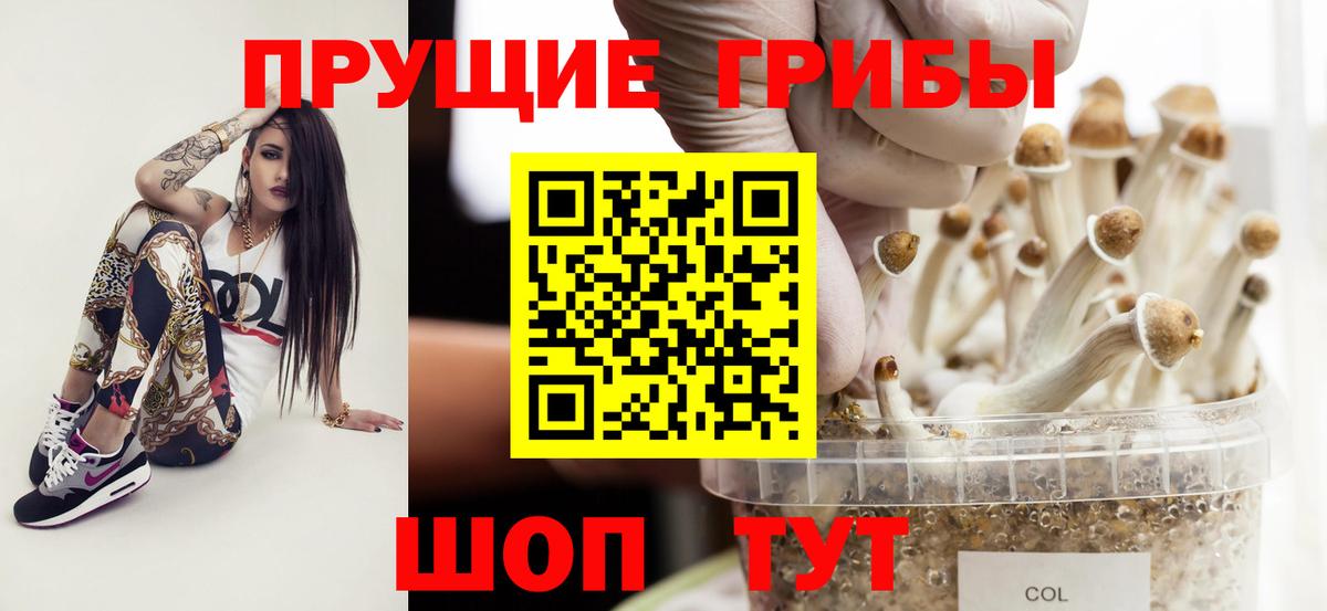 Псилоцибиновые грибы MAGIC MUSHROOMS Прохладный